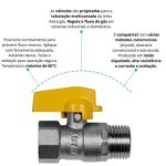 Valvula Macho e Fêmea Gás Rosca 1/2 pol Astra GVHC/12