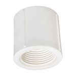 Luva Pvc Roscável 2 pol Plastilit 21002015