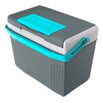 Caixa Térmica 8 Litros Cinza Termolar 58448