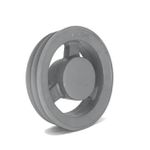 Polia de Ferro Fundido 220mm com 2 Canais B