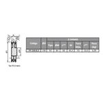 Polia de Ferro Fundido 230mm com 2 Canais B