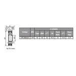 Polia de Ferro Fundido 240mm com 2 Canais B