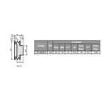 Polia de Ferro Fundido 160mm com 2 Canais B