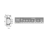 Polia de Ferro Fundido 110mm com 2 Canais B - Mademil
