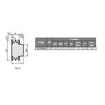 Polia de Ferro Fundido 110mm com 2 Canais A - Mademil
