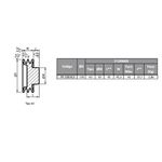 Polia de Ferro Fundido 130mm com 2 Canais B - Mademil