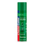 Tinta Spray Verde Escuro 400ml Chemicolor