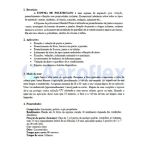 Espuma Expansiva 500ml/340gr - Mundial Prime (ae05000006)