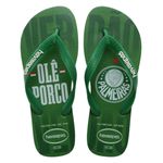 Chinelo Havaianas Top Times-Verde