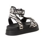 Sandália Flat Animal Print Zebra Feminina Preta