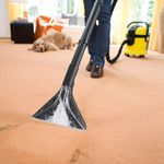 Extratora Karcher SE 4001 127V 
