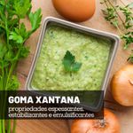Goma Xantana Mesh 200 - 200 g