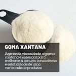 Goma Xantana Mesh 200 - 500 g