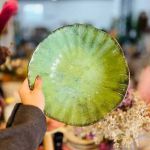 Tigela Média Oreon Green Scalla