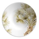 Prato De Risoto Folhas Água De Coco Scalla