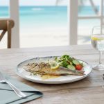 Conjunto 6 Prato Raso Ø27cm Liso Atlântica Scalla