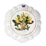 Conjunto 6 Pratos Rasos Champignons Ø29cm Valentina 1 Scalla