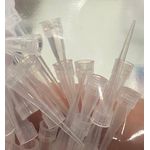 PONTEIRA TIPO GILSON POLIPROPILENO 10UL SEM FILTRO 20.000UN