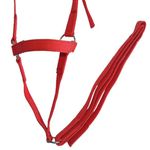 CABRESTO DE FITA SIMPLES P/ CAVALO