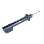 Amortecedor Dianteiro Renault Scenic 99/11 Megane 96/05