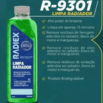 Limpa Radiador Radiex Remove Resíduos de Ferrugem, Óleo e Oxidação em 15 Minutos