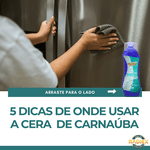 Cera Cristalizadora Radiex Waash Carnauba 285G