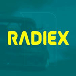 Limpa Vidros Radiex 500ml