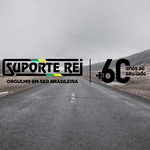 Bucha Olhal Barra Estabilizadora Scania P G R 114 124 94 420 440 470 310 320 340 460 480 500 620 R876