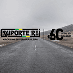 Bucha Barra Estabilizadora Danteira Scania T112 T113 R334
