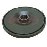 Polia Motor Mercdes Benz OM366 1214 1418 1618 1620 1621 1721 2318 2418 Correia Simples R388P