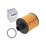 Kit Troca de Óleo Ipiranga 5w30 Fiat Toro Jeep Renegade Compass Rampage Motor Diesel 2.0 16v