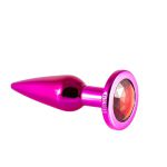 Plug de Metal Slim Com Pedras Variadas (HA172) - Rosa