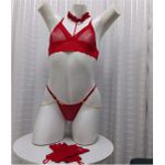 Conjunto Atraente (ID1126) - Rubi