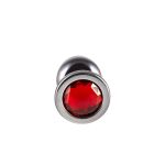 Plug de Metal G Com Pedra Variadas Hard (HA171) - Onix