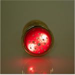 Plug Less M Com Led (HA183) - Dourado