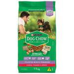 Dog Chow Ração Seca Cães Filhotes Raças Minis e Pequenos Carne, Frango e Arroz 1kg