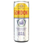 Gin & Tonic Gordon's 269ml