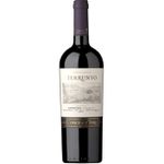 Vinho Terrunyo 750ml Carmenere