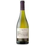 Vinho Terrunyo 750ml Sauvignon Blanc