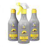 Natureza Cosméticos Girassol Cauterização Capilar Kit - 3 x 500ml