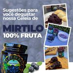 4x Geleia 95% fruta - 250g