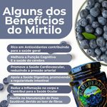 4x geleia 100% fruta blueberry 250g