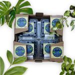 Mirtilo Fruta In Natura caixa com 1kg