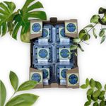 Mirtilo Fruta In Natura caixa com 1,5 kg
