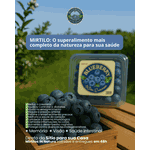Mirtilo Fruta In Natura caixa com 1,5 kg