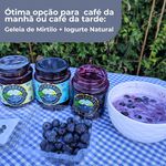  3X Geleias de 250g 1-100%, 1-95% e 1-80%