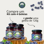 4x Geleia 100% Fruta - 250g + Brinde Geleia 120g