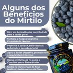 4x Geleia 95 % Fruta - 250g + Brinde Geleia 120g 