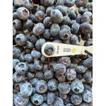 Mirtilo Fruta In Natura Seleção Natural Caixa com 1,5 kg