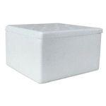 CAIXA ISOPOR 15x14x10 1000 G - PCTE 10 UNID